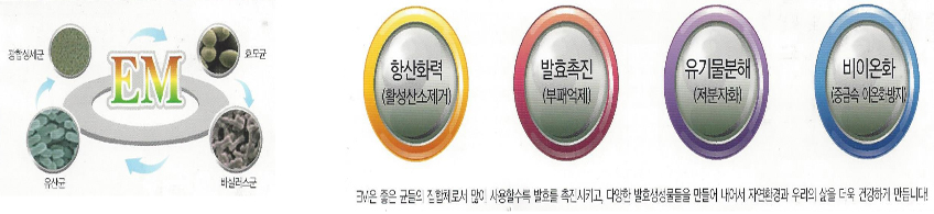 이엠제품소개